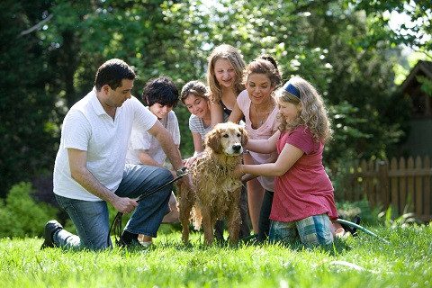 ¿Cuál es la función de la familia?